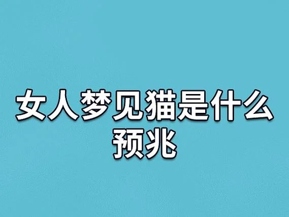 梦见买猫是什么意思_1