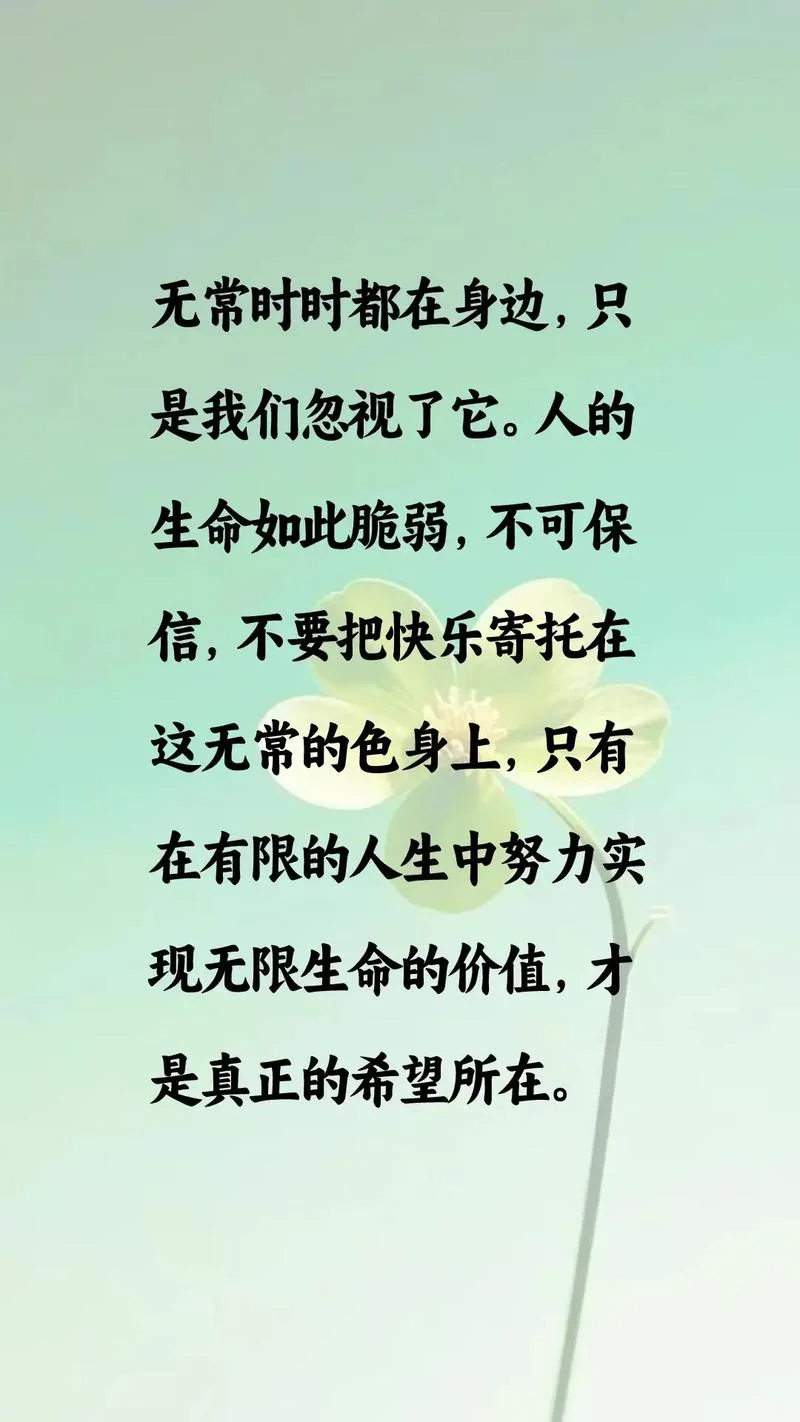 生命不息下一句_1