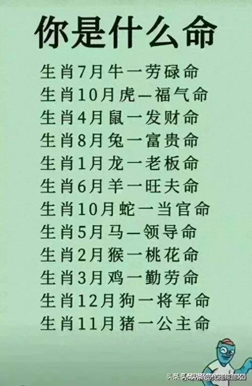 1979年属什么的命_1