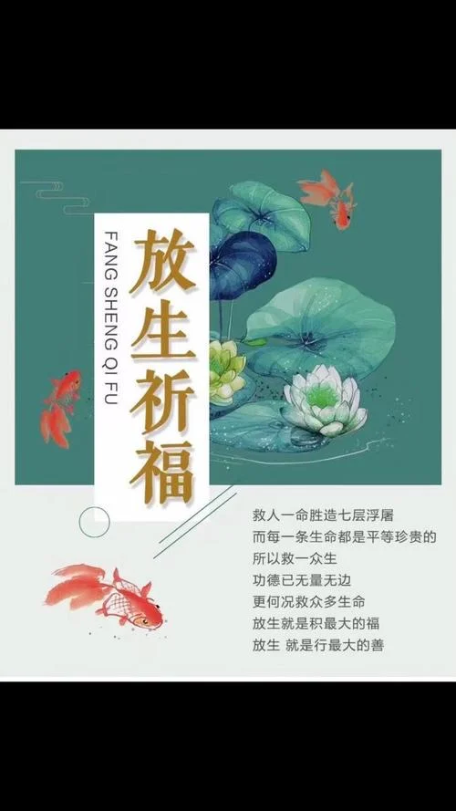 放命是什么意思-放命意指命限