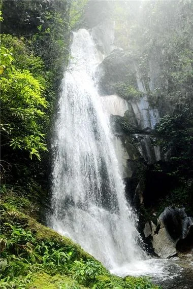 龙归大海虎归山下一句_2