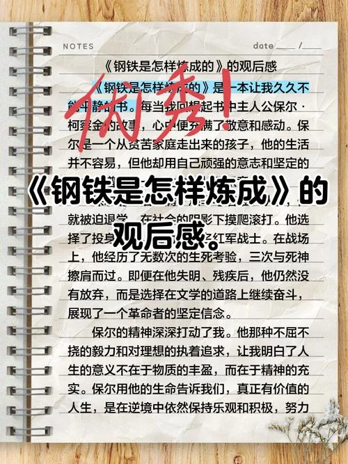 钢拳铁甲感悟_2