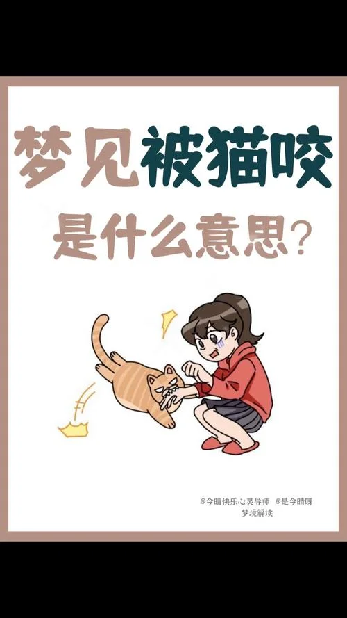 梦见猫是什么预兆呢_2