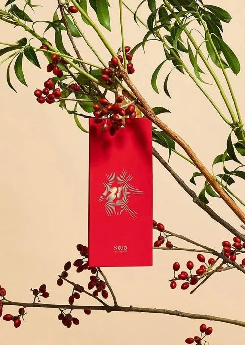 2020年发财项目_2