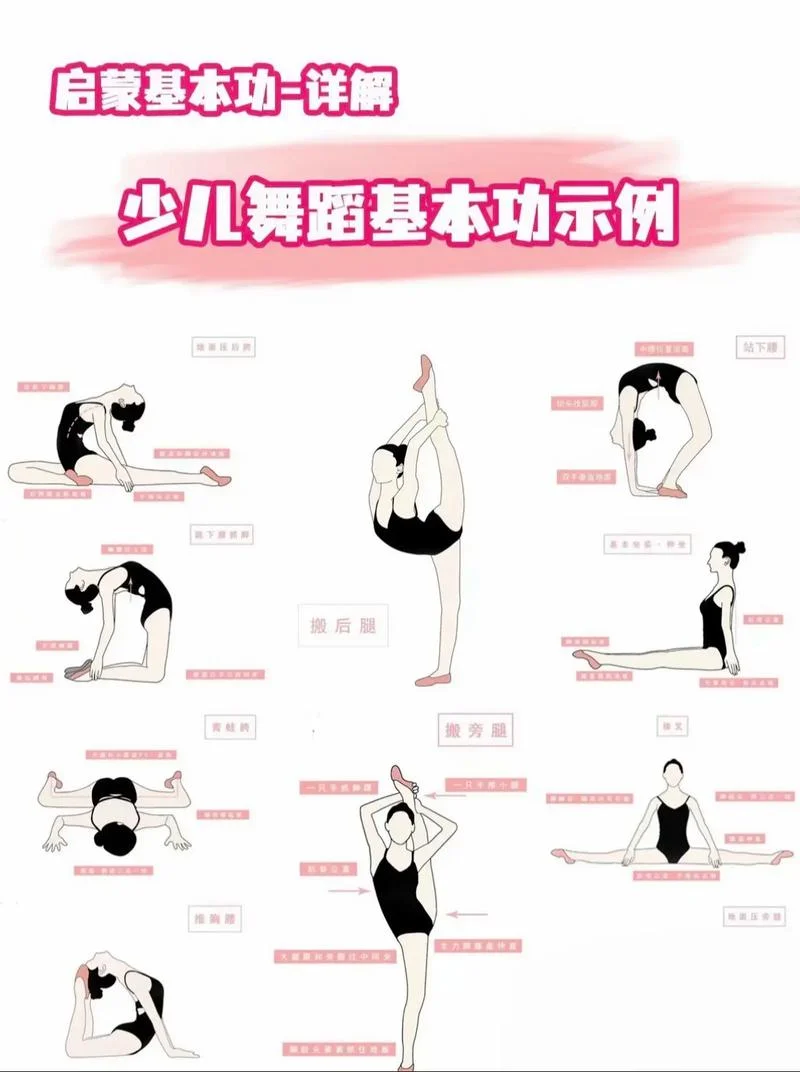 舞蹈生体能训练有哪些项目-舞蹈生体能训练项目