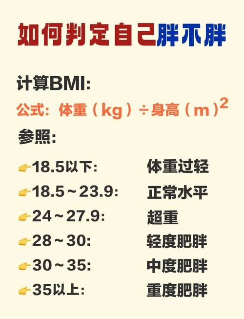 肥胖指数公式_2