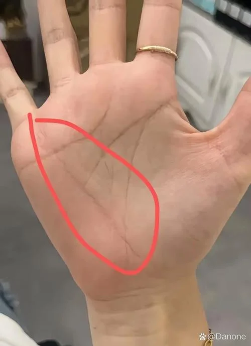 阴骘线手相_2