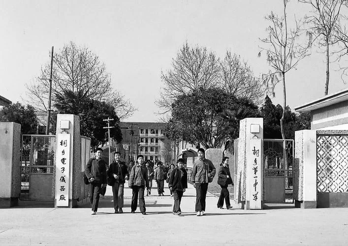 桐乡第一中学_1