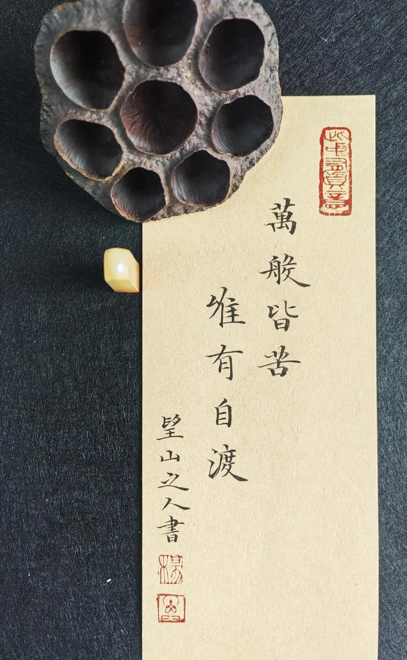 争渡争渡的下一句-下一句争渡争渡