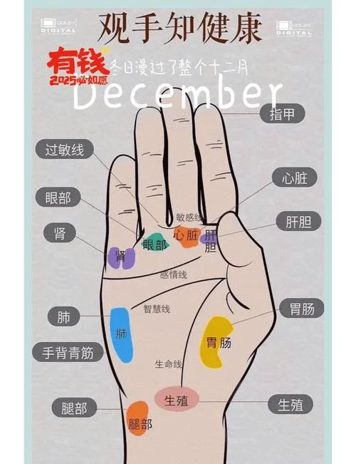手相鱼纹图解-鱼纹手相图解