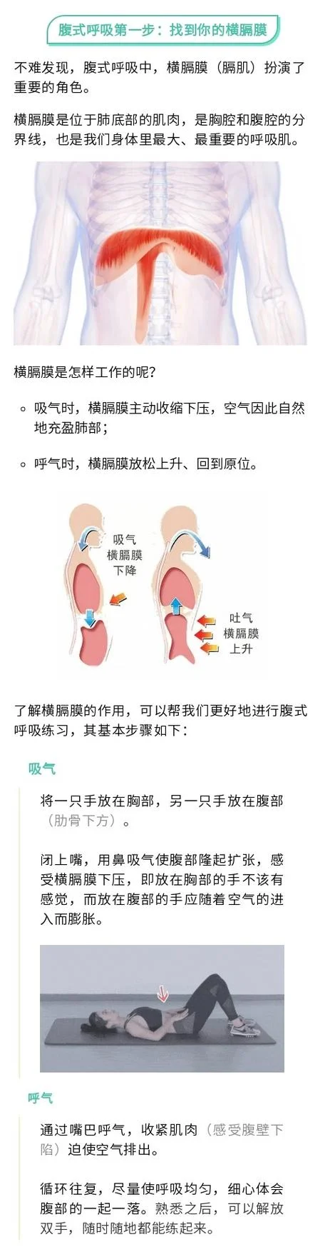 呼吸的作用原理-呼吸作用原理