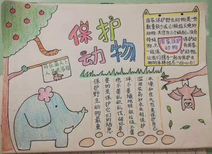 手抄报保护动物简单画_1