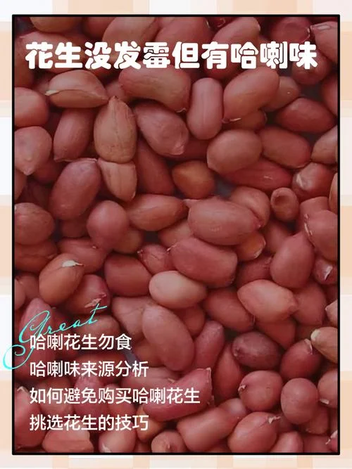 梦见买花生米什么意思_1