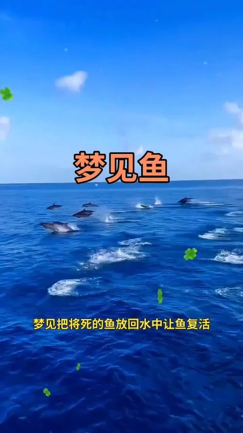 梦见好多鱼是什么预兆 女性_2