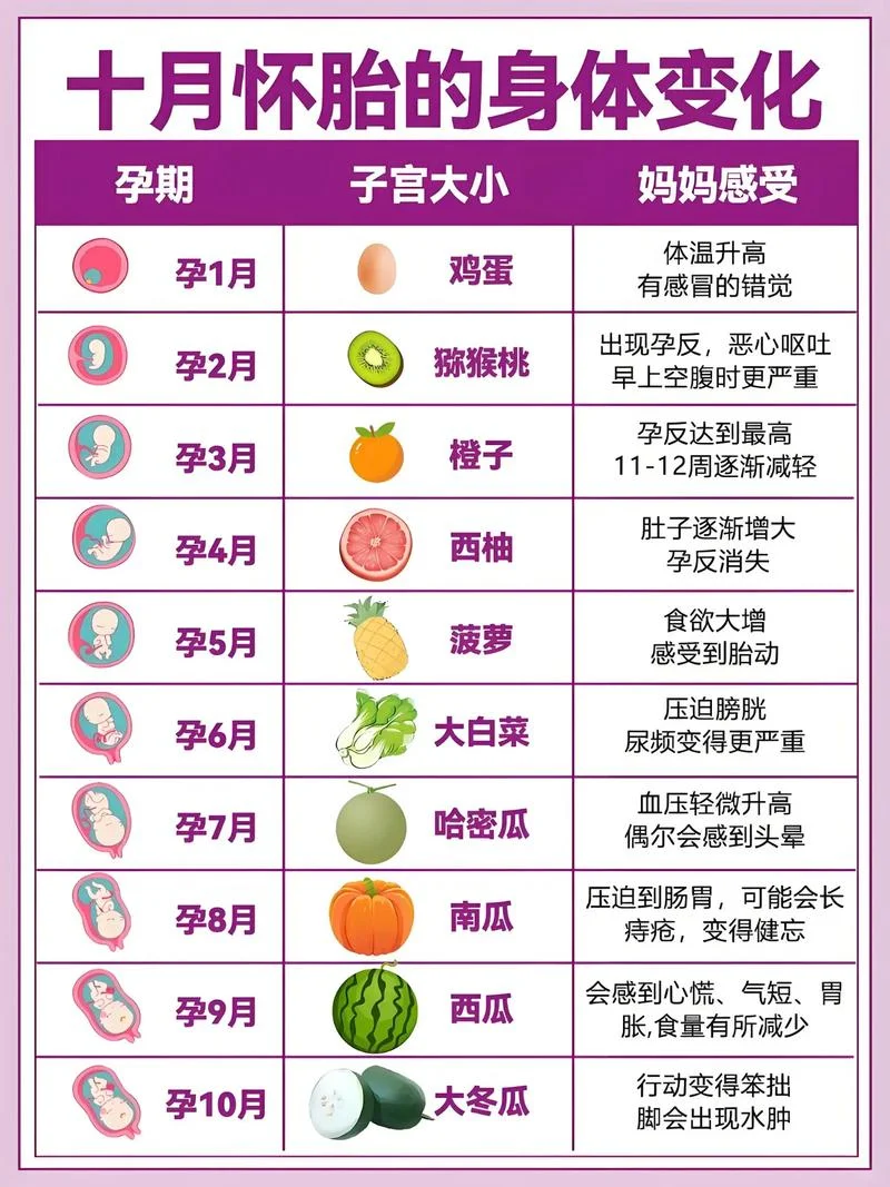 10月出生的是几月怀孕-10 月怀孕对应