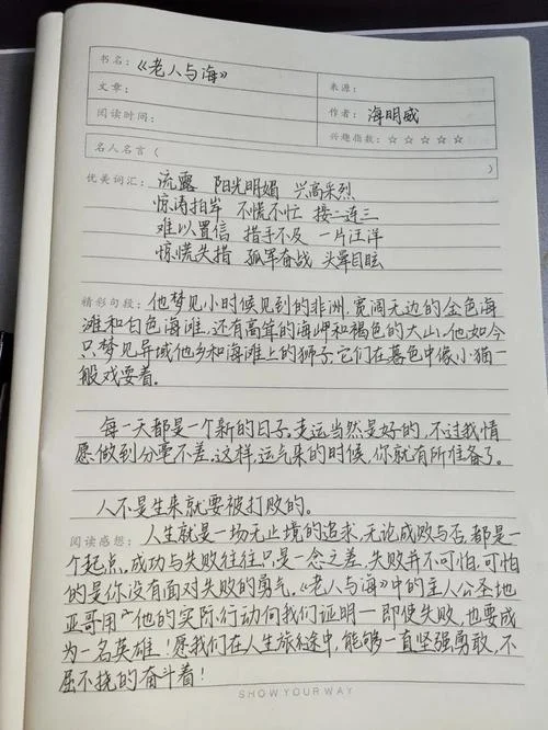 恶之花读书笔记500字-恶之花读书笔记