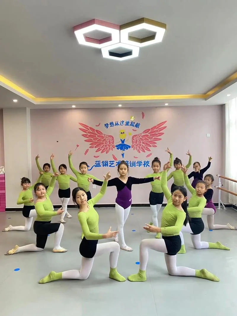 深圳艺考舞蹈培训班-深圳艺考舞蹈培训