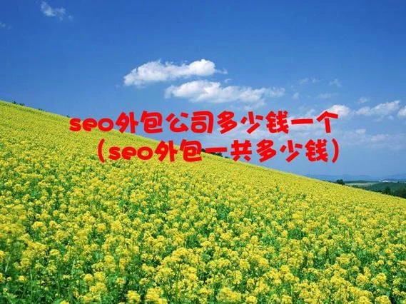 seo外包优化多少钱_1