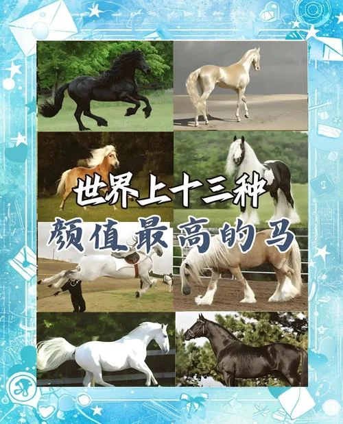 多多马是哪个国家_2