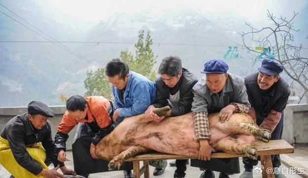 梦到杀猪卸肉_1
