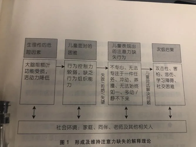 自我决定理论举例_1