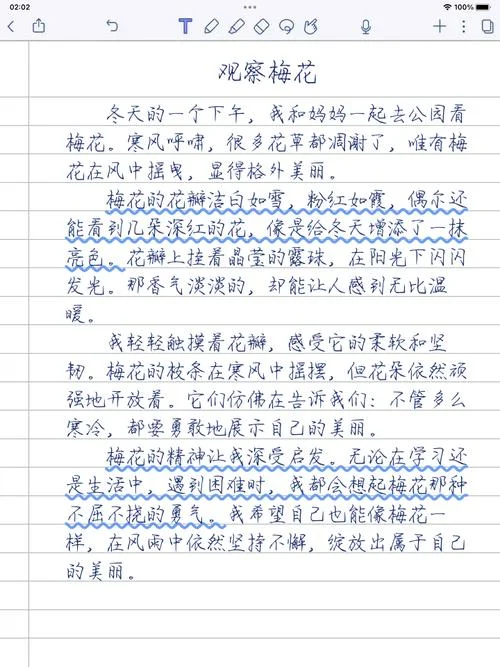 梅花的资料作文怎么写_1