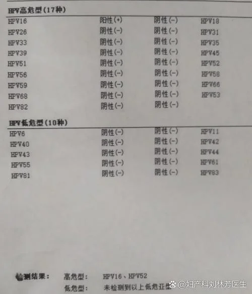 hpv检测结果在哪里查_2