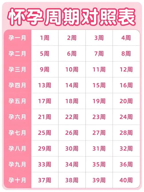什么时候怀孕是女儿_1