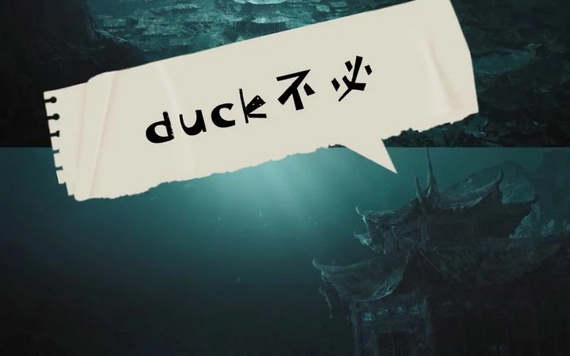 duck不必是什么意思啊_1
