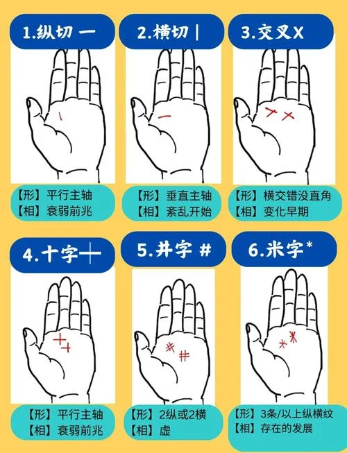 女士看手相是左还是右_2