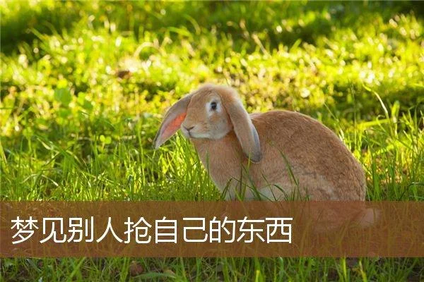 梦见别人拿自己的东西_1