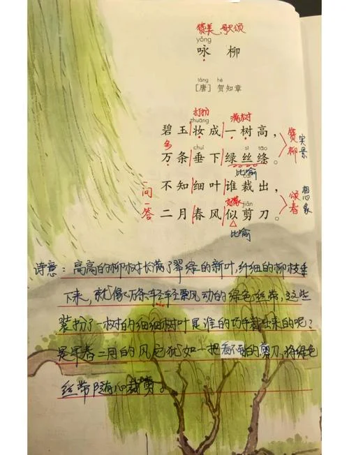 东荷西柳是什么意思-东荷西柳含义