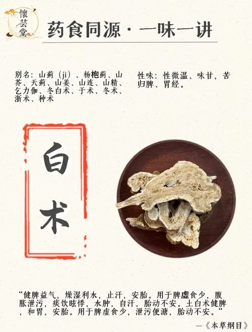 白朴的简介_1