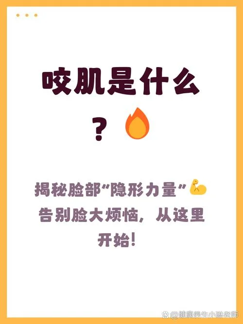脸的两边叫什么_2