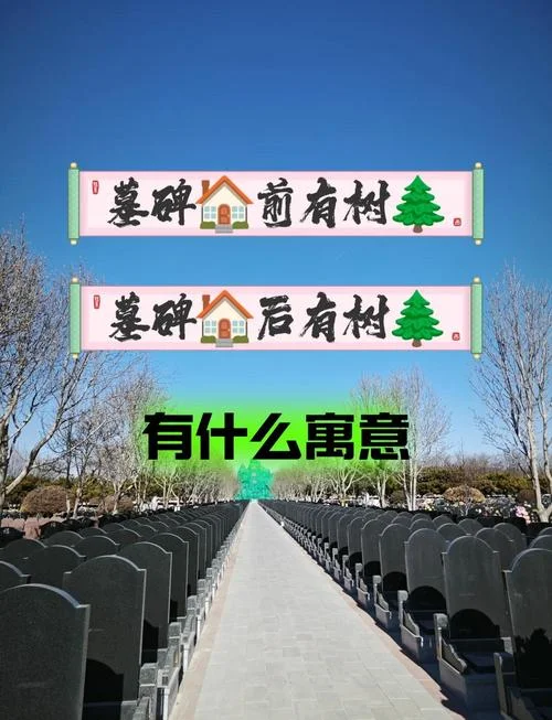 梦见栽树什么意思_2