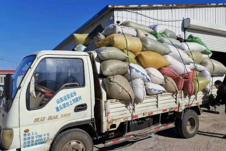 荣成邮编是哪个省-荣成邮编山东省