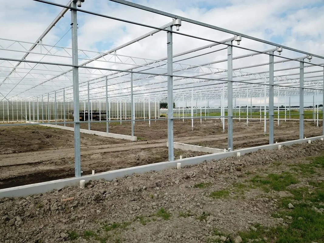 建一个蔬菜大棚-建蔬菜大棚