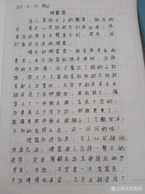 泼水节周记600初中-600 字初中泼水节周记