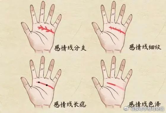 男女的手相怎么看_2