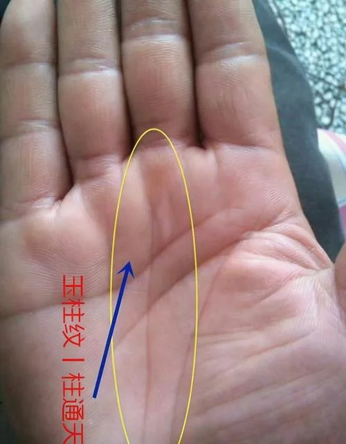 手相年龄图片_2