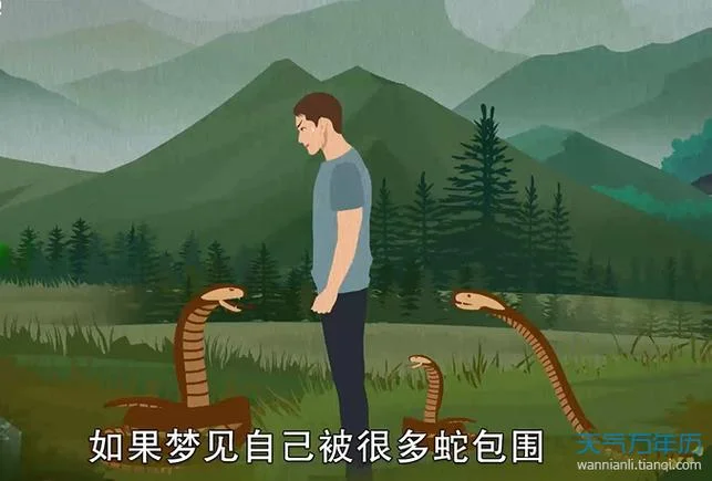 梦见在驱赶蛇_1
