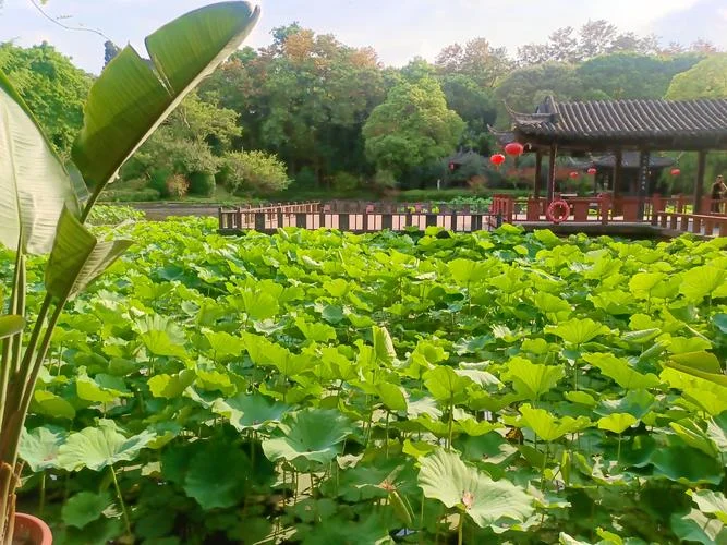 郫县有什么好玩的景点_1