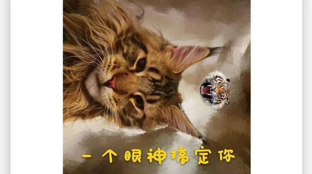 面相喵喵的微博-面相喵喵微博