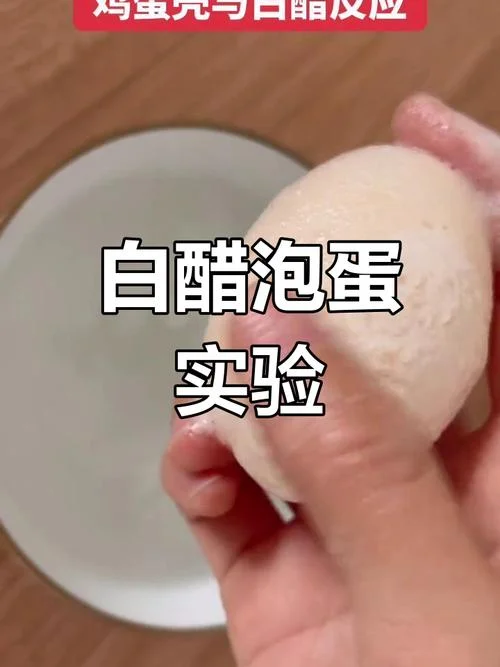 鸡蛋放醋里的实验原理_2