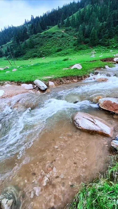 梦见清澈的水流_2