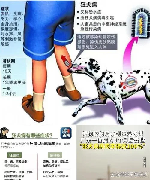 做梦被狗咬出血_2