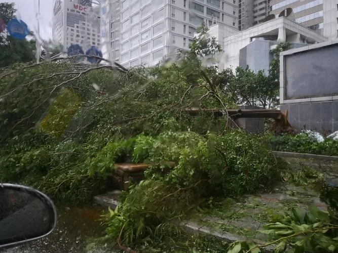 山竹是哪年的台风_2