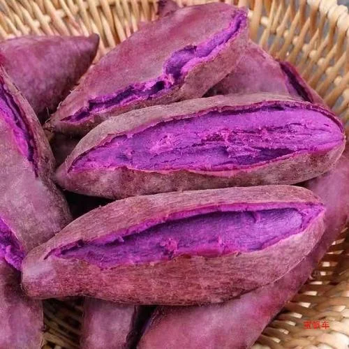 梦见紫薯有什么预兆-梦见紫薯寓意吉祥