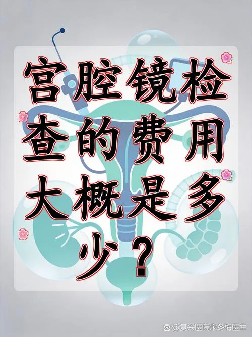要做宫腔镜检查多少钱_1