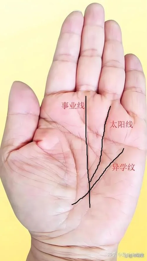 看手相真的准吗可信吗_2
